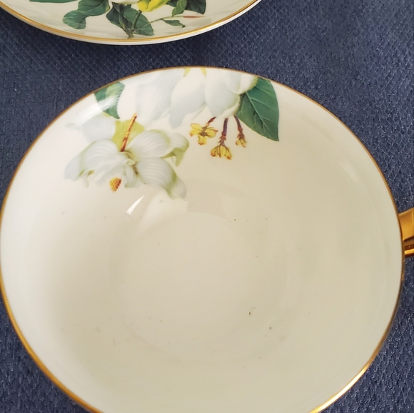 Gorgeous Teacup and Saucer by Kendal, Large White Magnolia Flowers, Bright Gold - Picture 3 of 3
